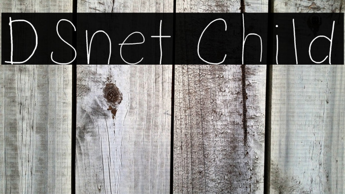 DSnet Child Example 1