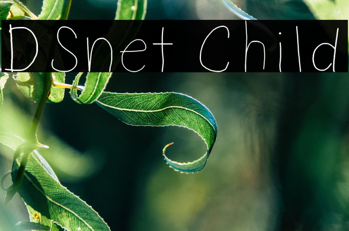 DSnet Child Example 3