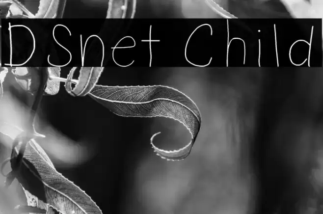 DSnet Child Fonte examples