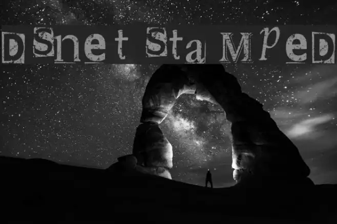 DSnet Stamped Example 3