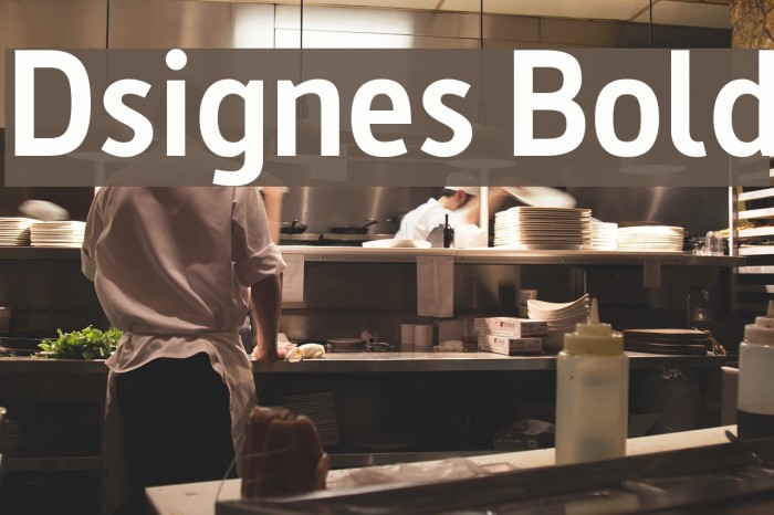 Dsignes Bold Font examples