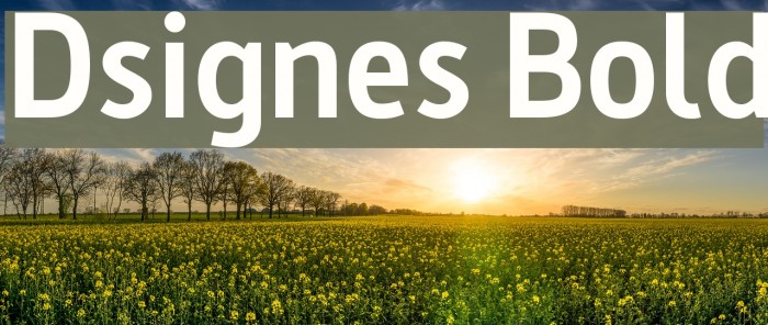 Dsignes Bold Font examples