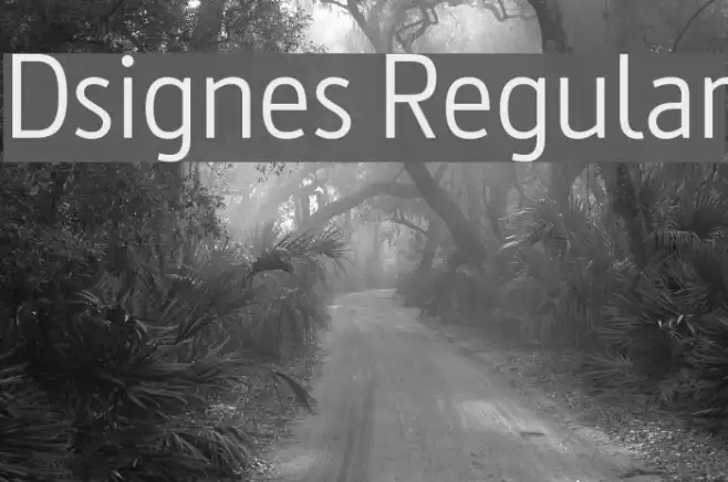 Dsignes Regular Example 1
