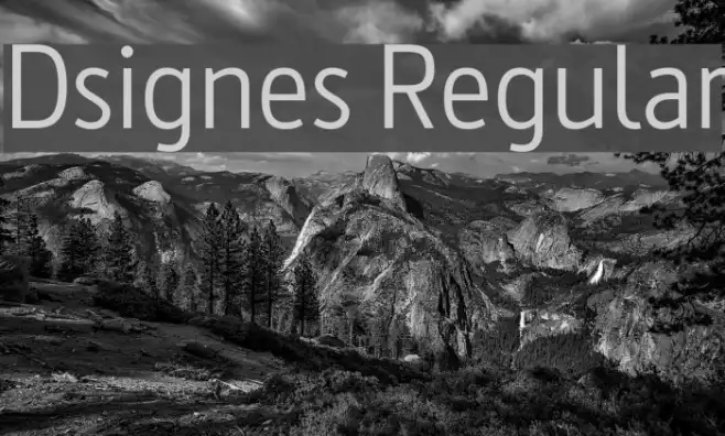 Dsignes Regular Example 2