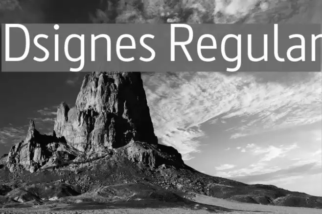 Dsignes Regular Example 3