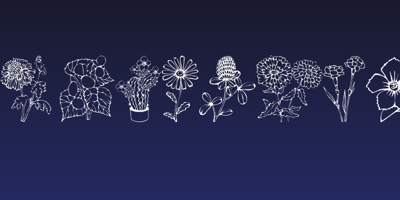 DT Flowers 1 Social Header