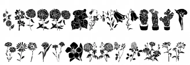 DT Flowers 1 Fuentes MINÚSCULAS