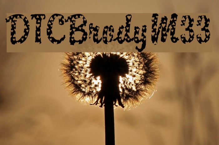 DTCBrodyM33 Font examples