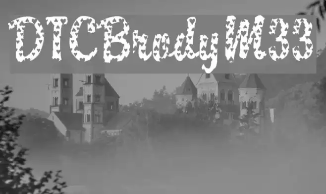 DTCBrodyM33 Example 3