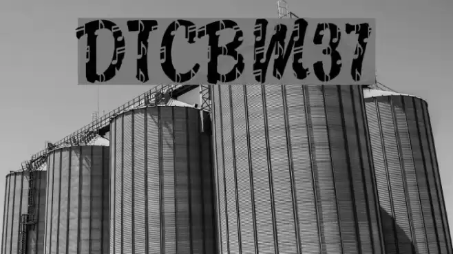 DTCBrodyM37 Font examples