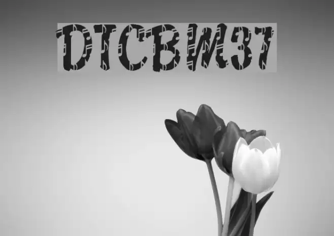 DTCBrodyM37 Font examples