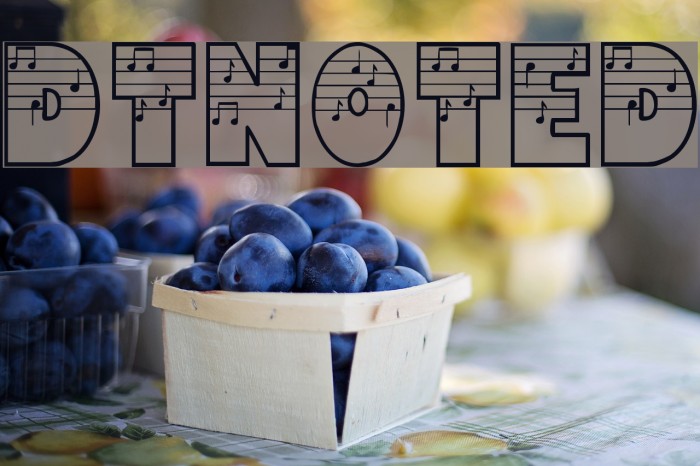 DTNoted Font examples