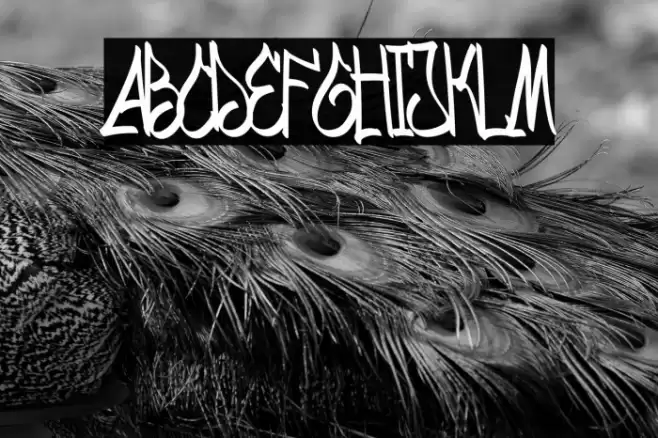 DUMBELITE Caratteri examples