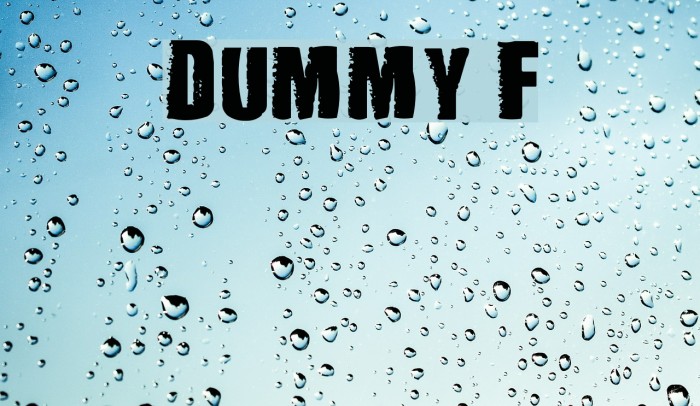 DUMMY Font examples
