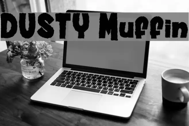 DUSTY Muffin Example 1
