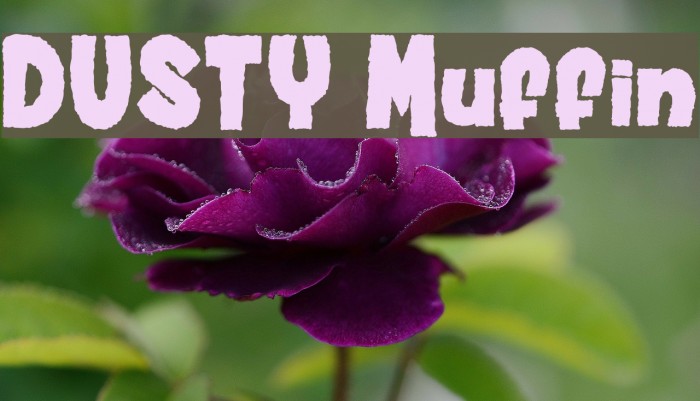 dusty-muffin-font-ffonts