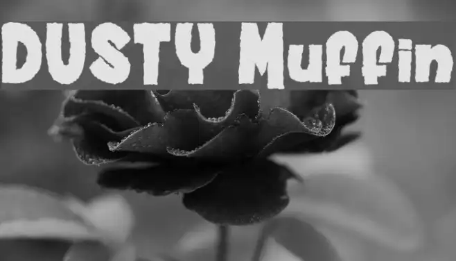 DUSTY Muffin Example 3