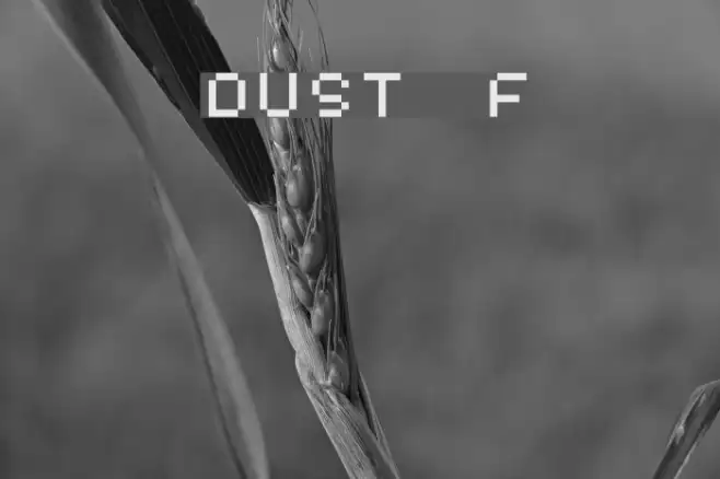 DUST Example 1