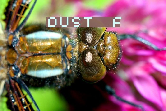 DUST Font examples