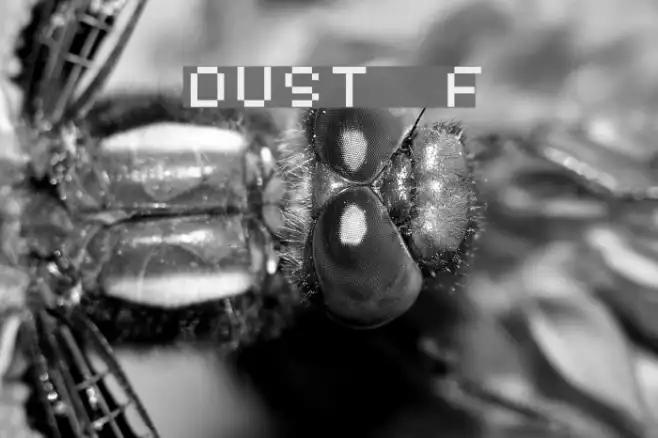 DUST Example 3