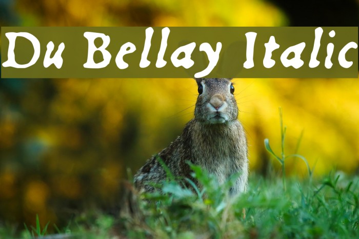Du Bellay Italic Font examples