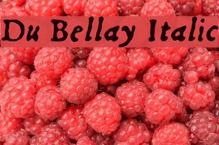 Du Bellay Italic Font examples