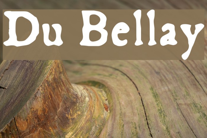 Du Bellay Font examples