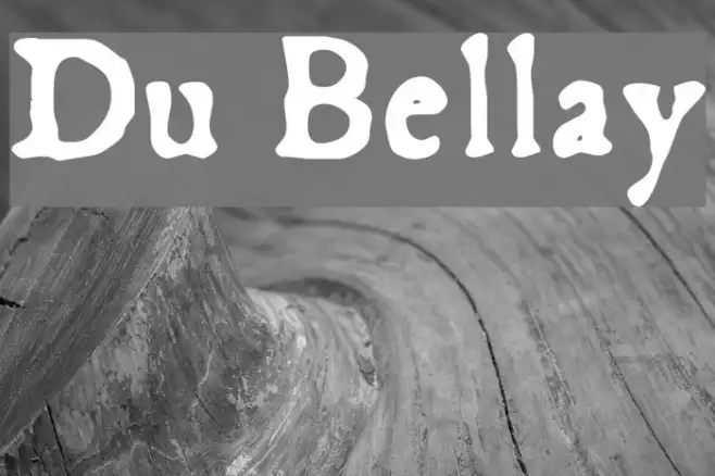 Du Bellay Example 2