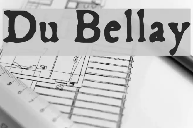 Du Bellay Example 3