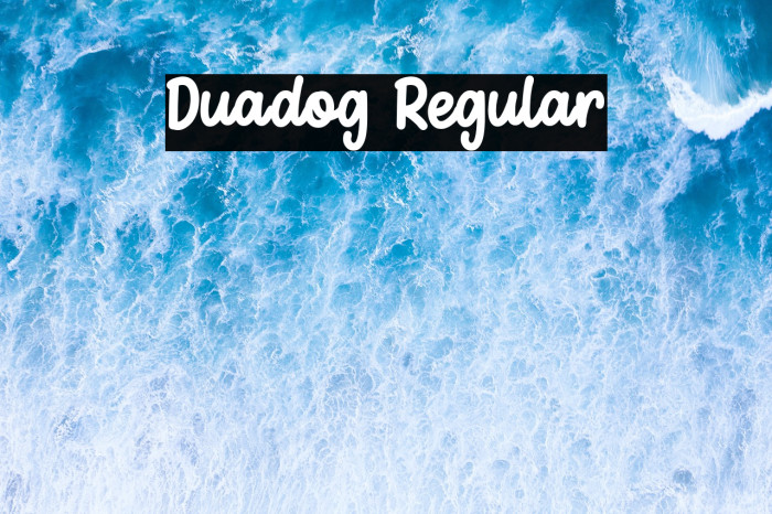Duadog Regular Example 1