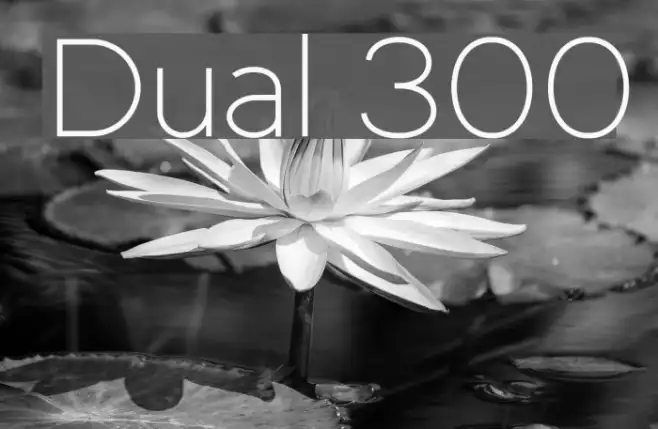 Dual 300 Example 1