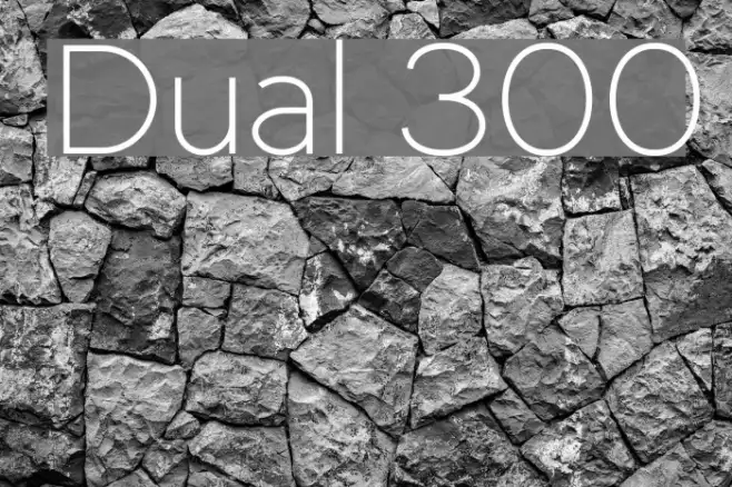 Dual 300 Example 2