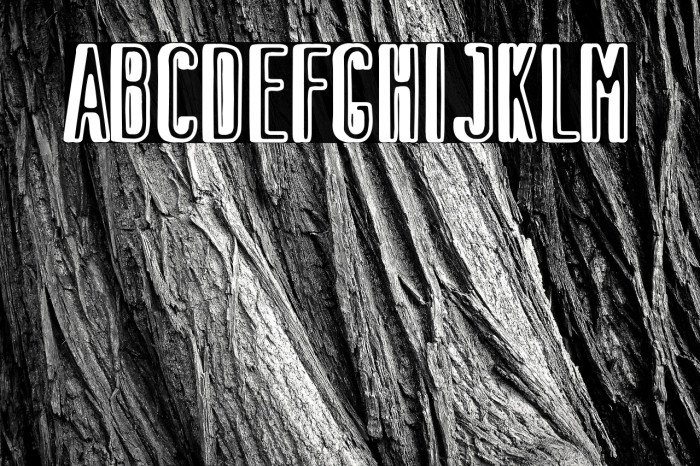 Dual Monarchy Example 1