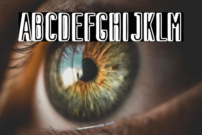 Dual Monarchy Example 2