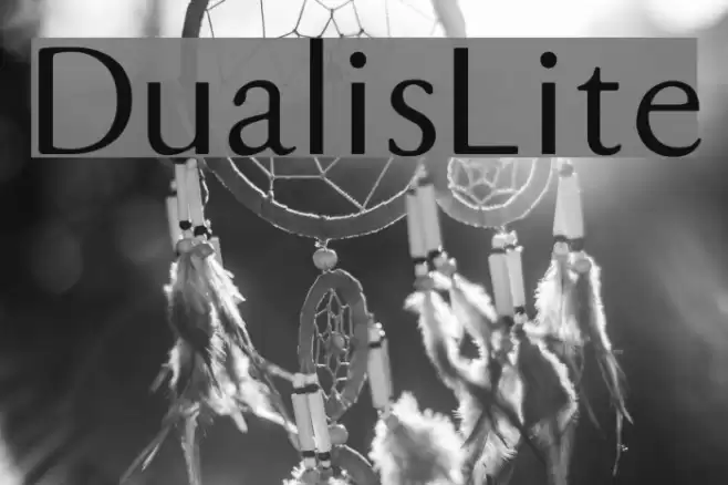 DualisLite Font examples