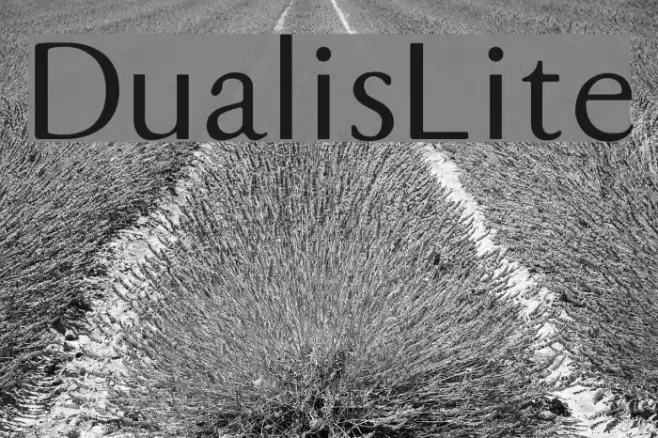 DualisLite Font examples