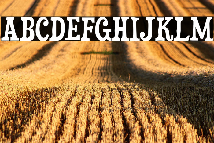 Duality-Regular Example 2