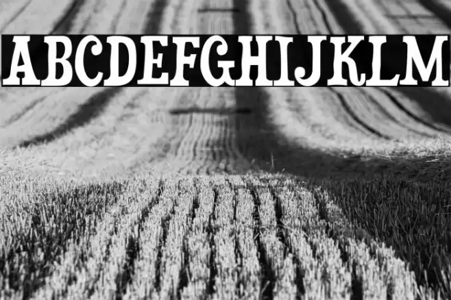 Duality-Regular Font examples