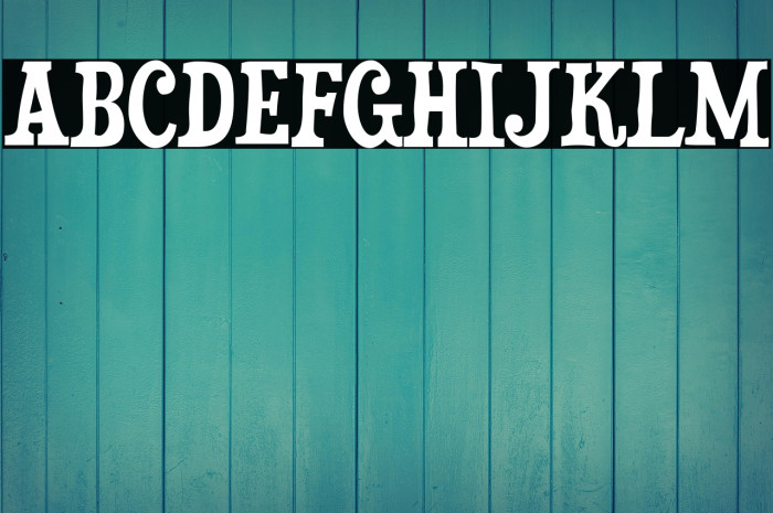 Duality-Regular Example 3