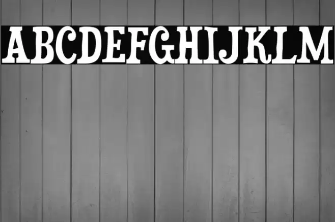 Duality-Regular Font examples