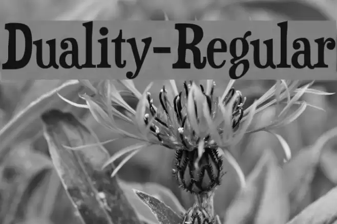 Duality-Regular Font examples