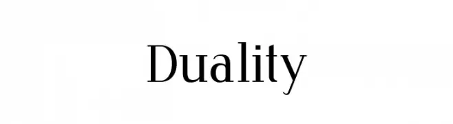Duality 