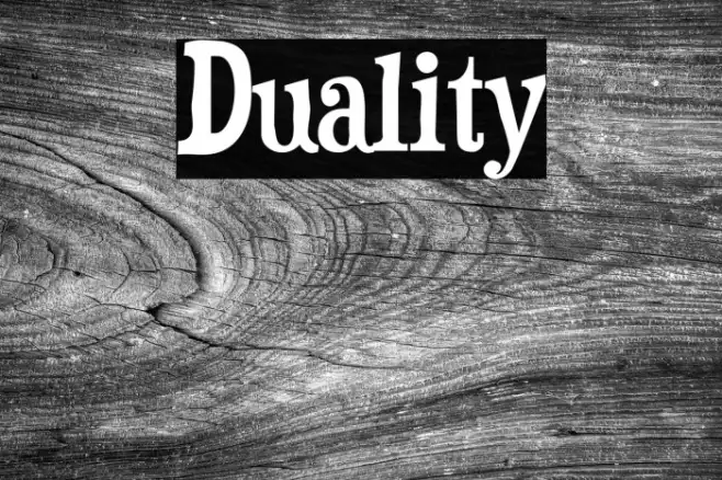 Duality Example 1