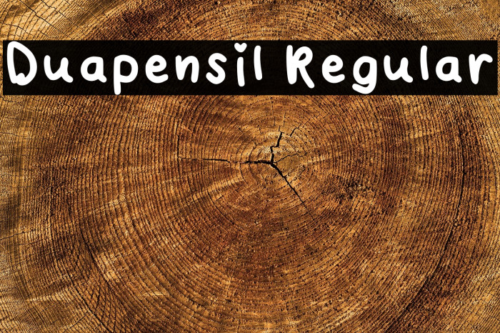 Duapensil Regular Example 1