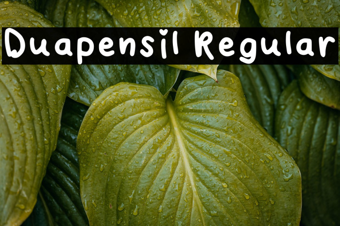 Duapensil Regular Example 2