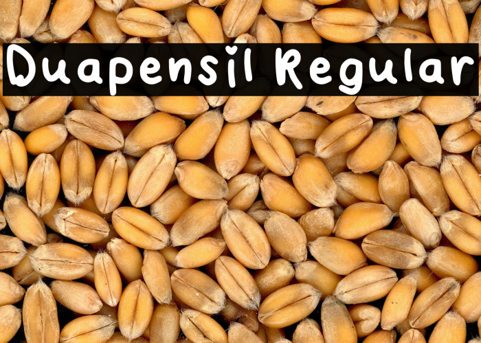 Duapensil Regular Example 3