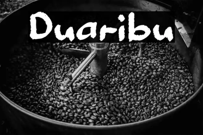 Duaribu Example 1