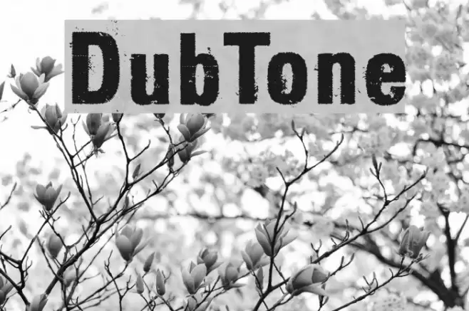 DubTone Font examples
