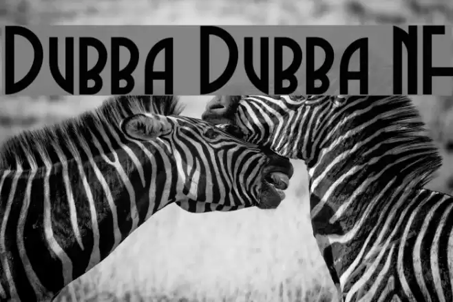 Dubba Dubba NF Font examples