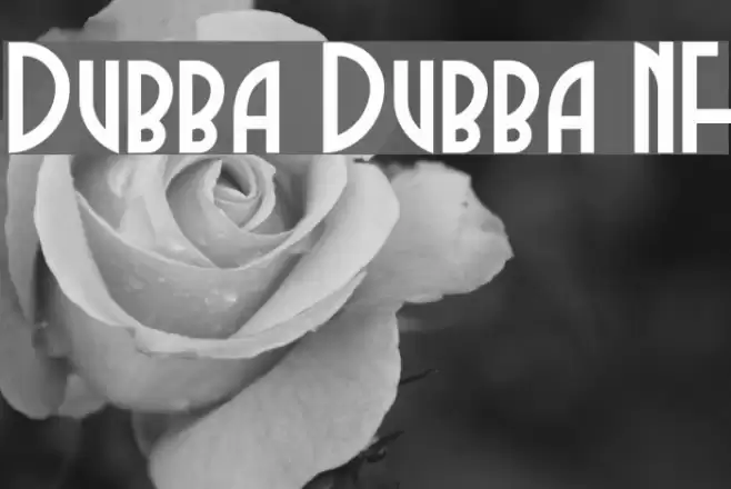 Dubba Dubba NF Font examples